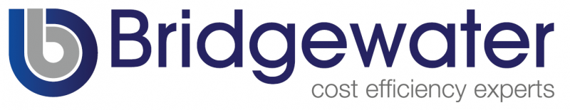 bridgewater consulting